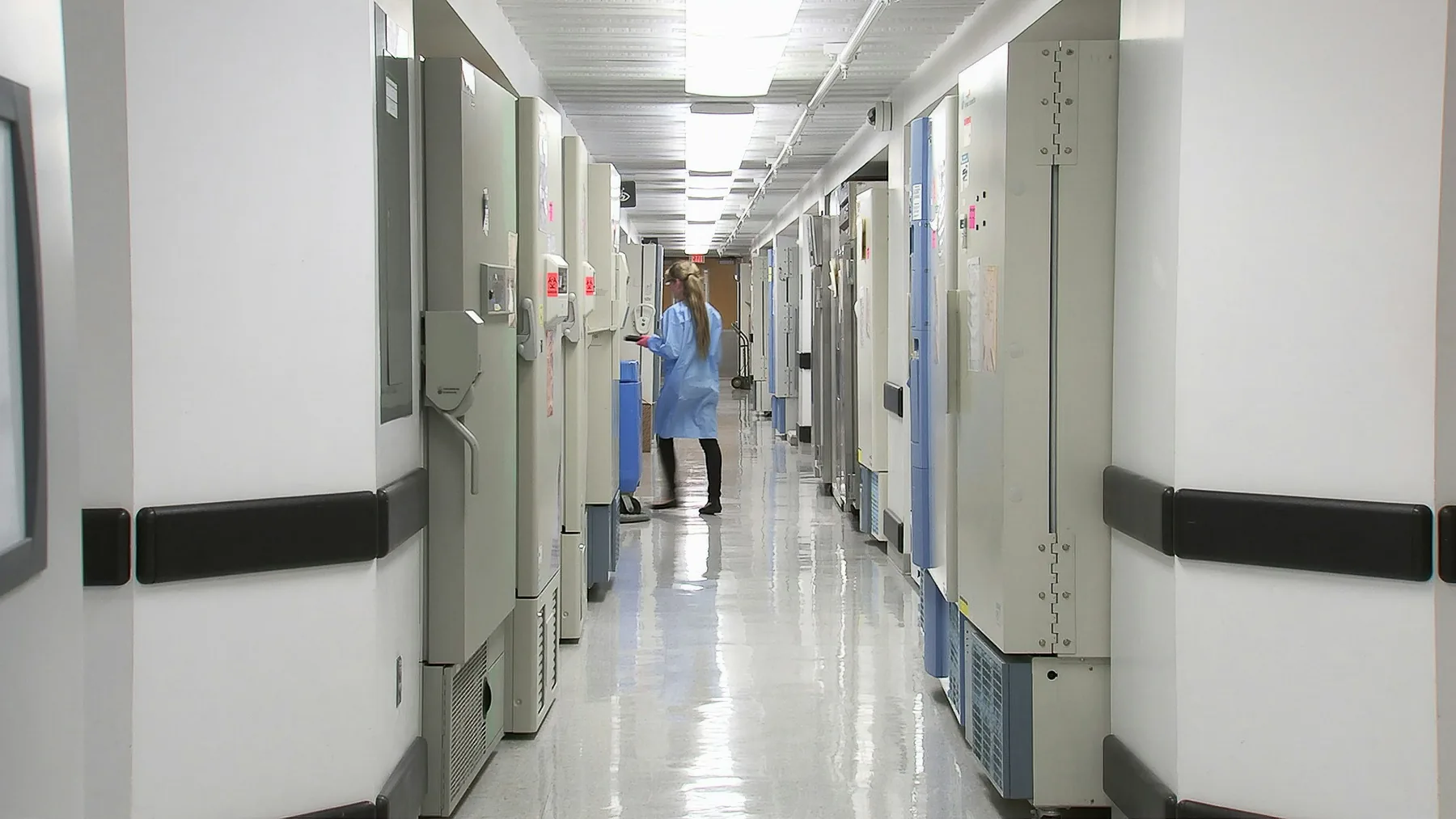 Key Licensing Requirements for Healthcare Professionals in Dubai